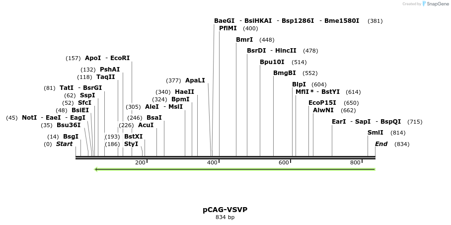 109492_map