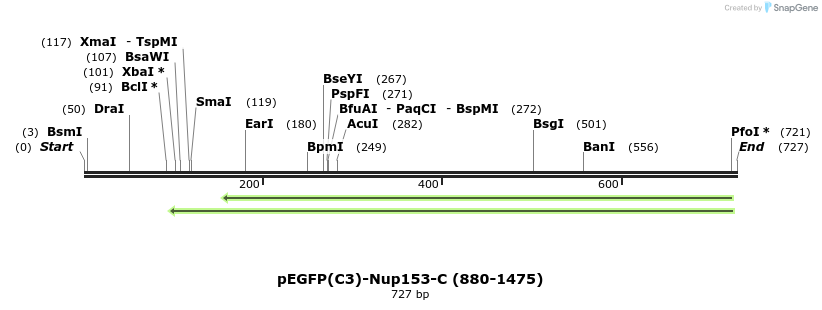 109493_map