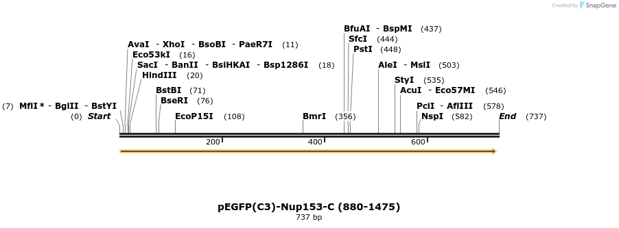 109495_map