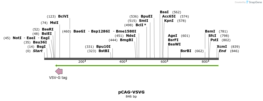 109499_map