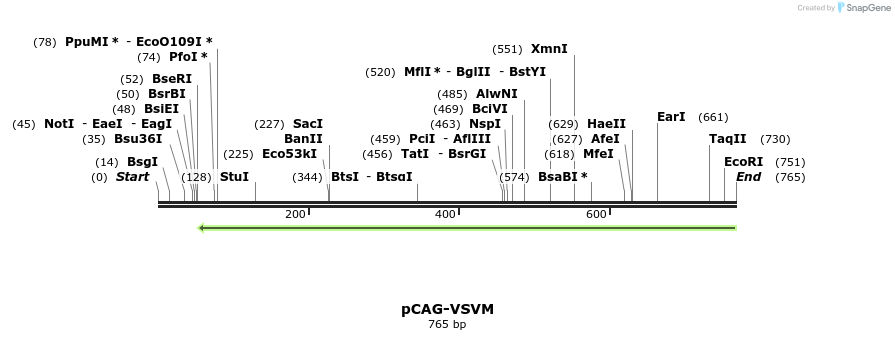 109501_map