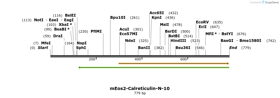 109502_map