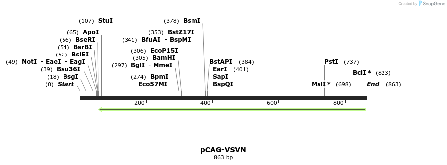 109503_map