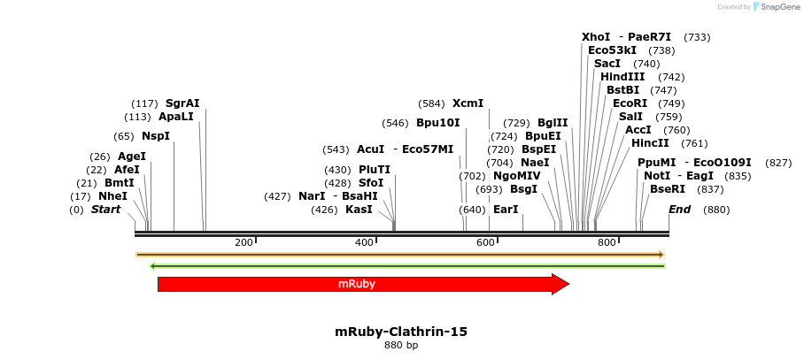 109505_map