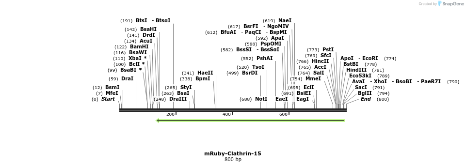109507_map