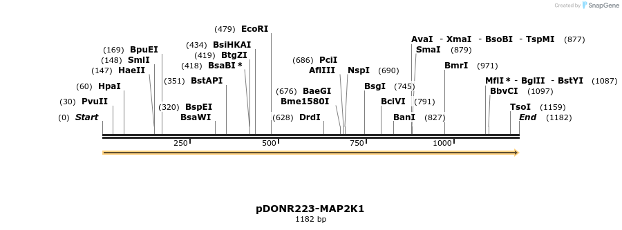 10951_map