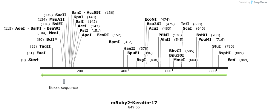 109513_map