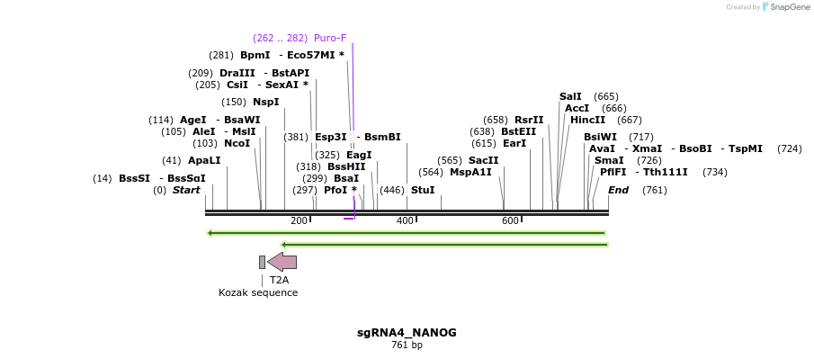 109514_map