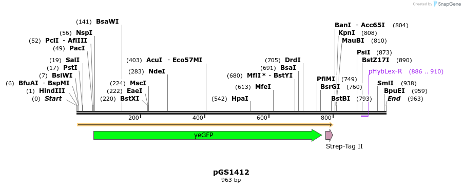 109515_map