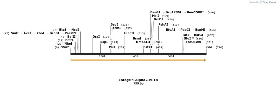 109518_map
