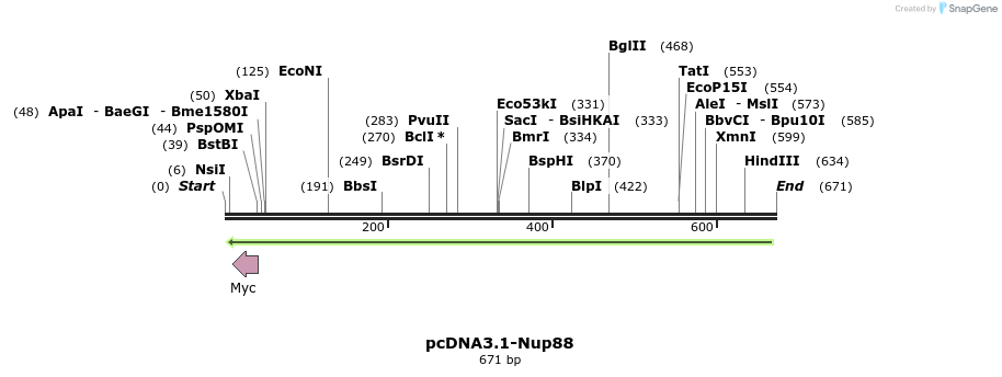 109520_map