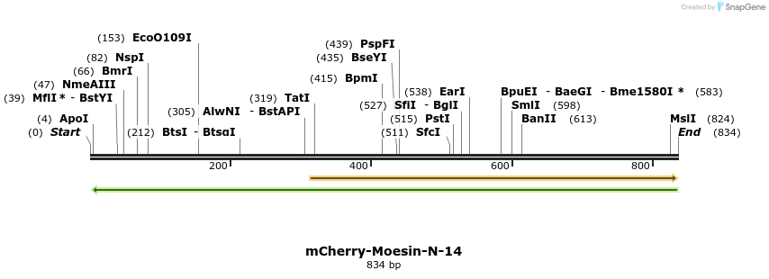 109521_map