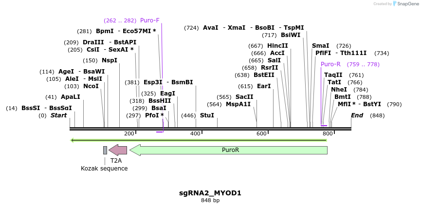 109526_map