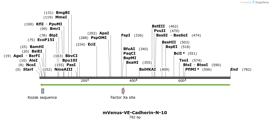 109527_map
