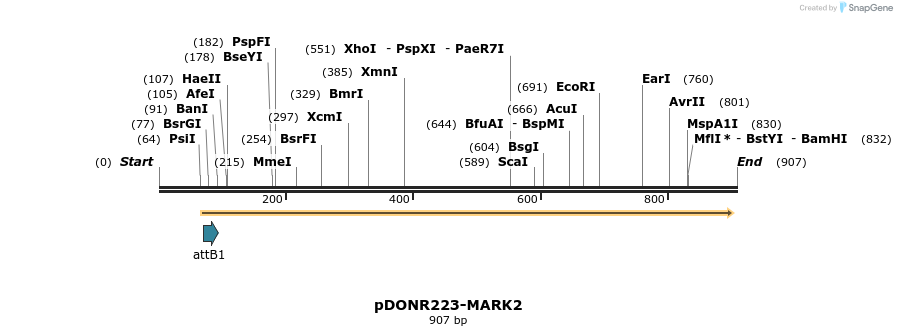 10953_map