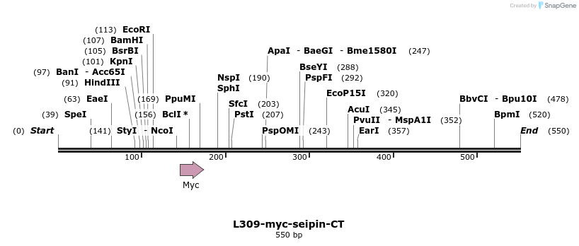 109531_map