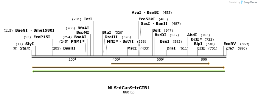109534_map