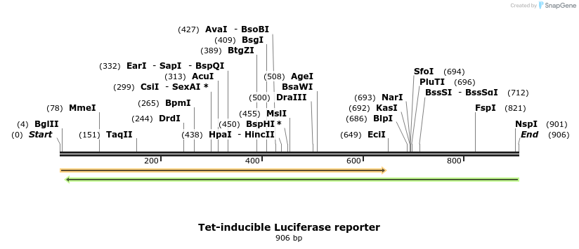 109541_map