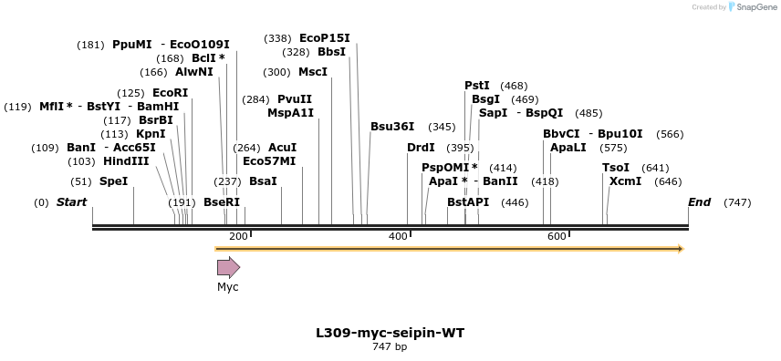 109543_map