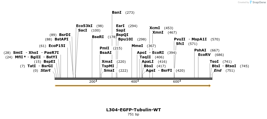 109544_map