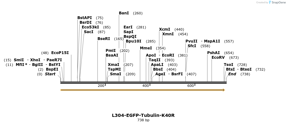 109545_map