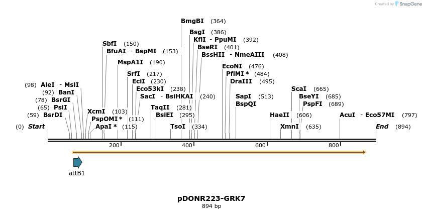 10955_map