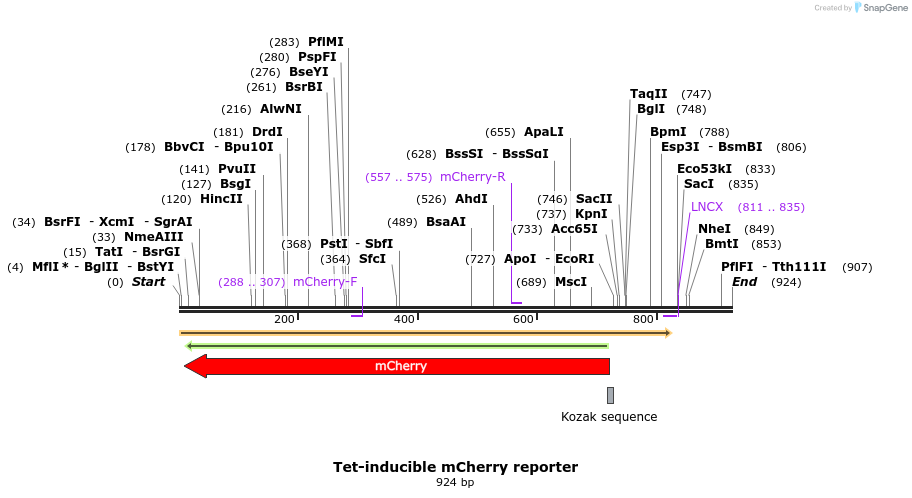 109564_map