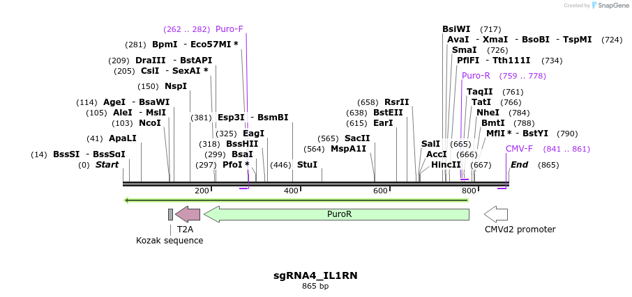 109567_map