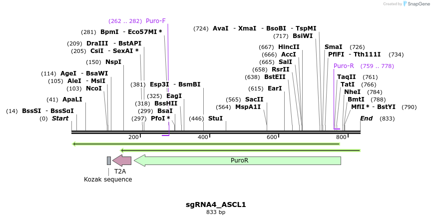 109580_map