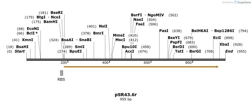 109581_map