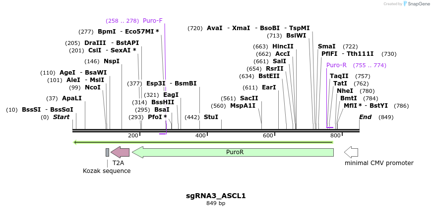 109582_map