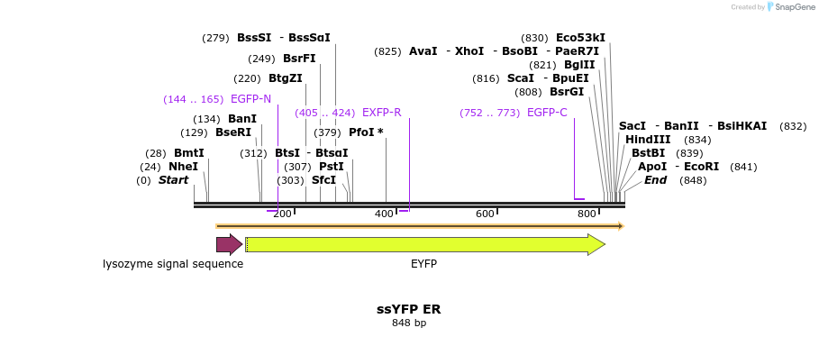 109583_map