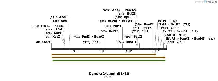 109586_map