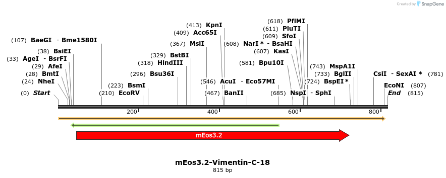 109591_map