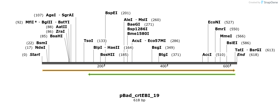 109592_map