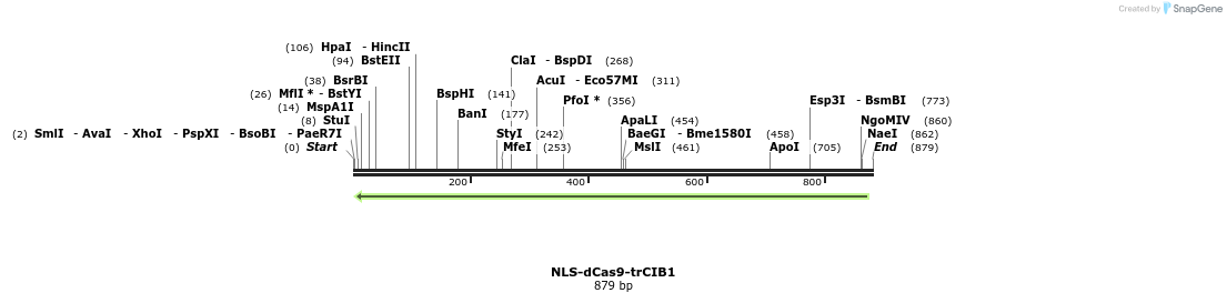 109594_map