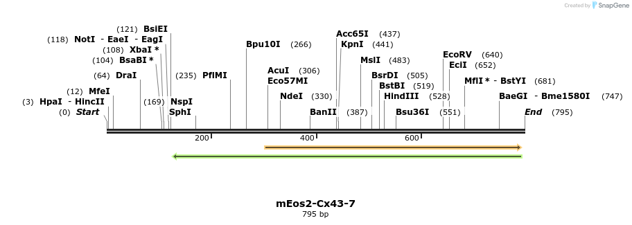 109595_map