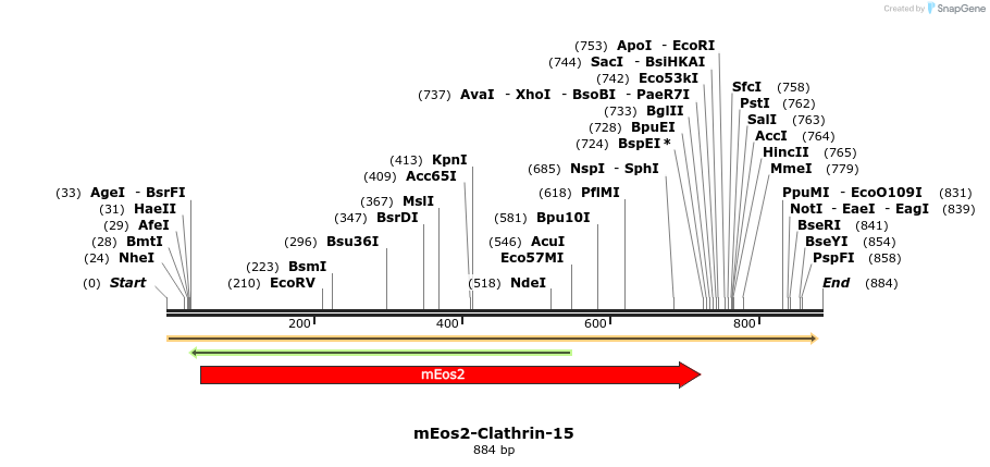 109596_map