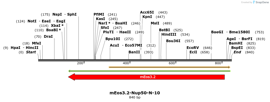109598_map