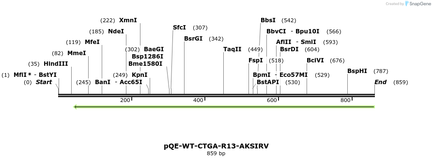 109599_map