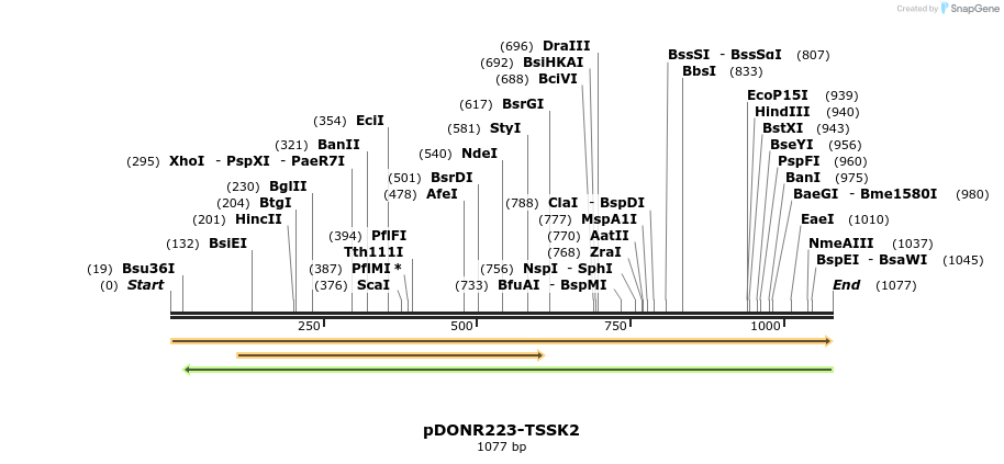 10960_map
