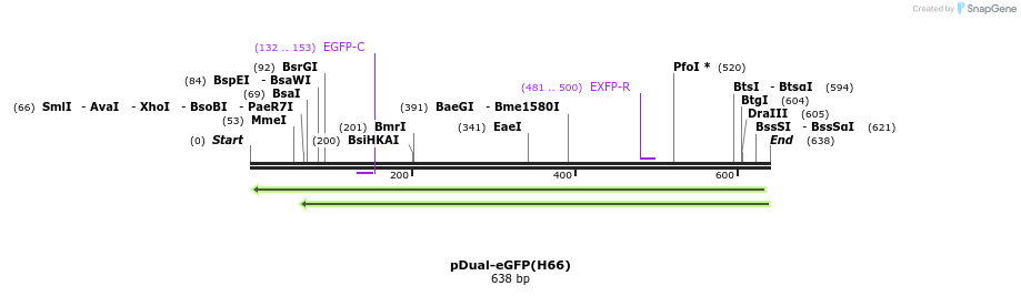 109600_map