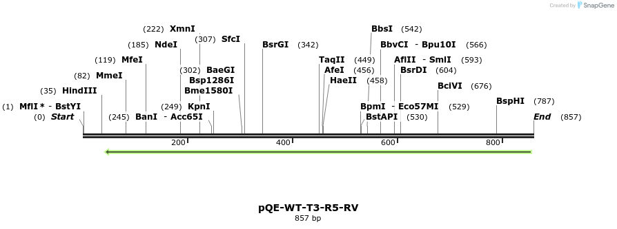 109602_map
