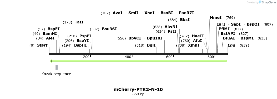 109603_map