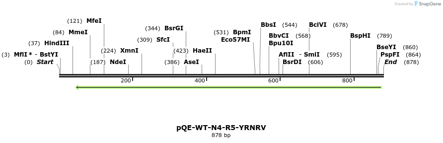 109604_map