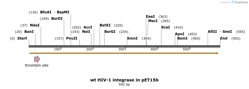 109605_map