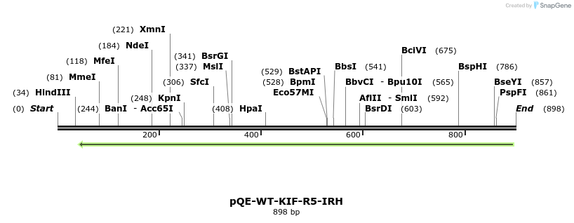 109609_map