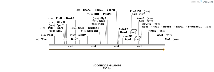 10961_map