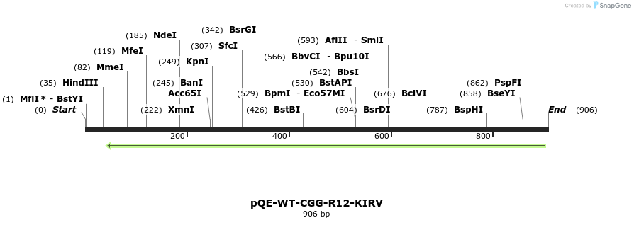 109610_map