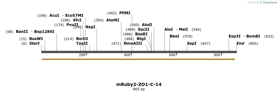 109611_map